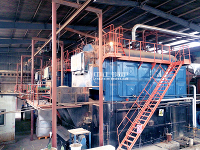 好成食品12噸DZL生物質(zhì)蒸汽鍋爐項(xiàng)目